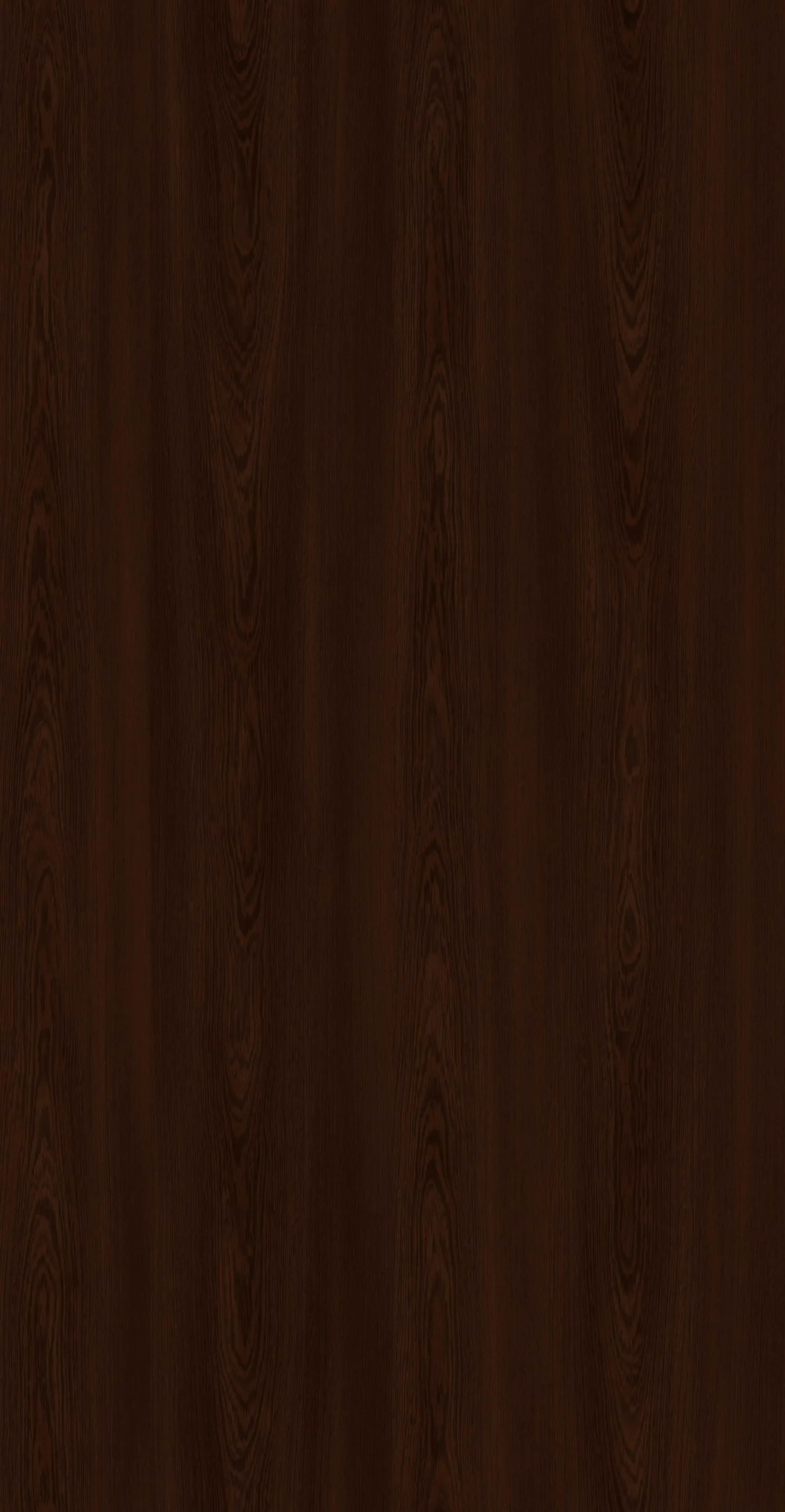 WENGE SORBES_1_1